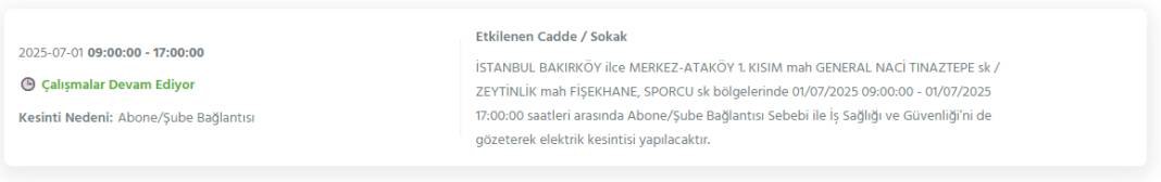Bu geceden itibaren başlıyor: İstanbul'un 24 ilçesinde dev elektrik kesintisi 28